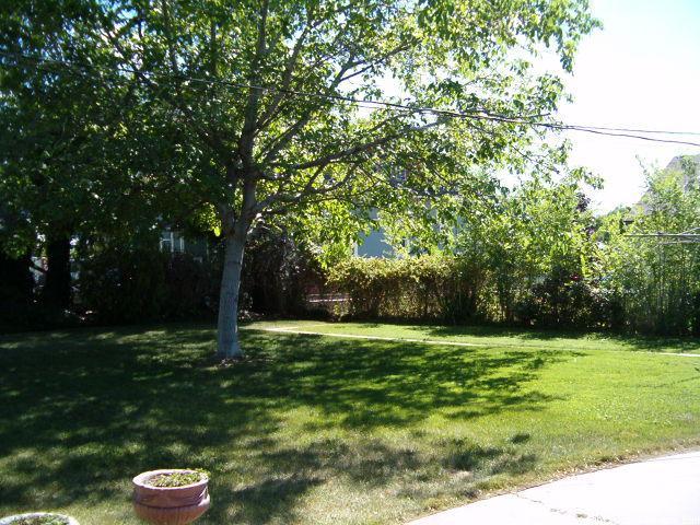 216 E 200 S, Brigham City, UT 84302 — photo 5