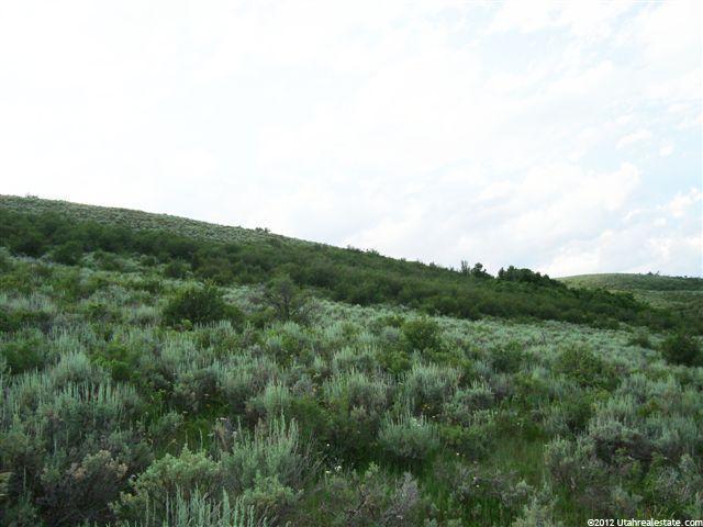 9 Lake Pointe Development #9, Montpelier, ID 83254 — photo 5