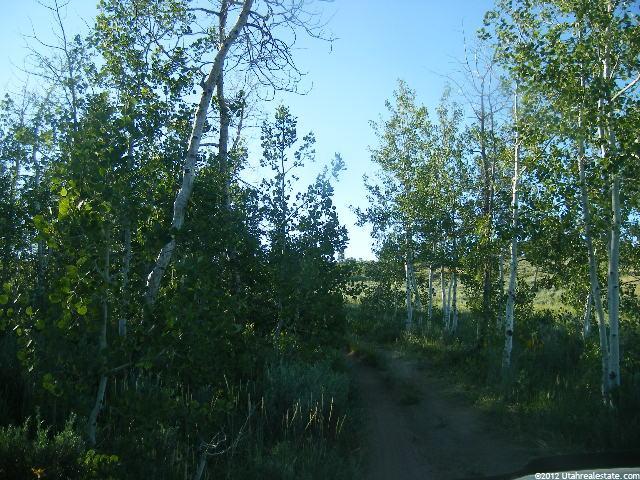 #21, Paris, ID 83261 — photo 3