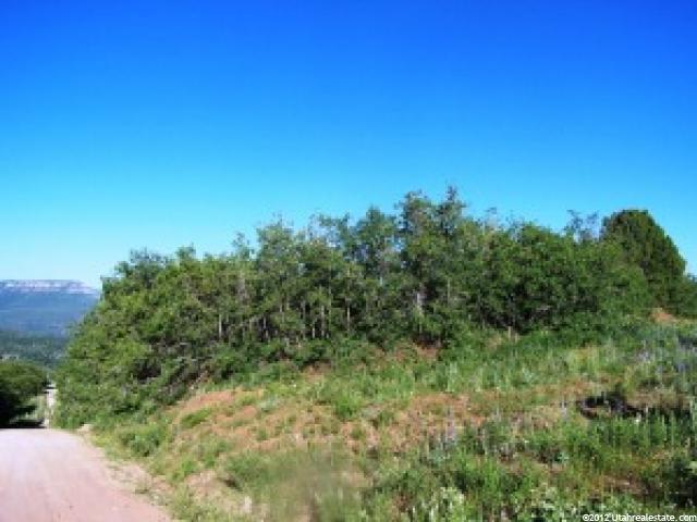 Virgin, UT 84779 — photo 2
