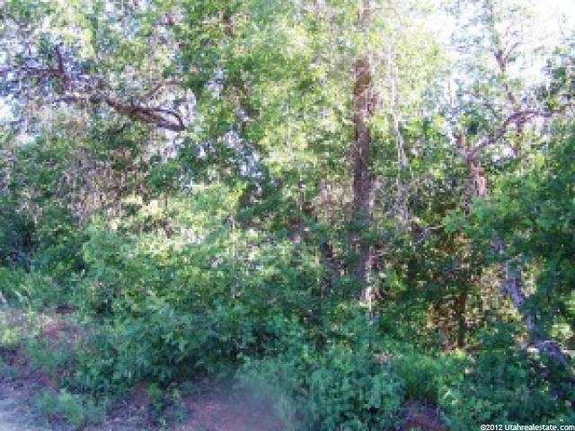 Virgin, UT 84779 — photo 3