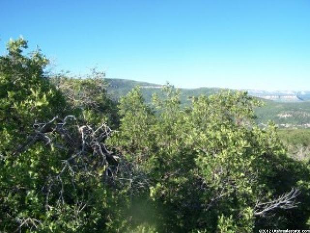 Virgin, UT 84779 — photo 5