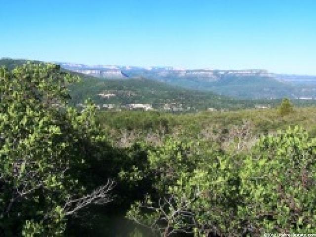 Virgin, UT 84779 — photo 6