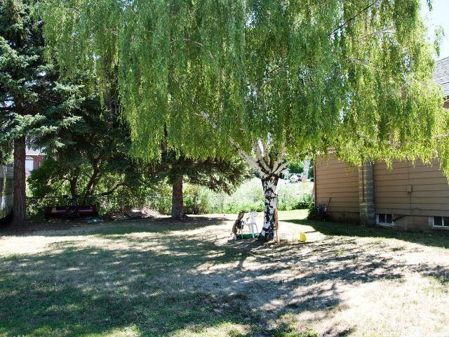 171 W Pleasant View Dr, North Ogden, UT 84414 — photo 5