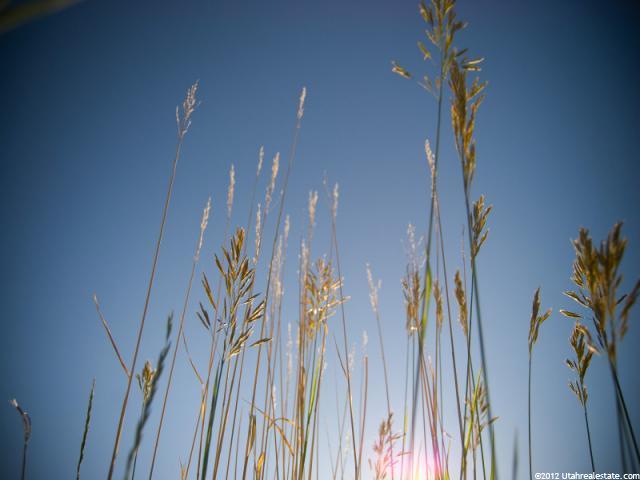 #15, Hideout, UT 84036 — photo 10