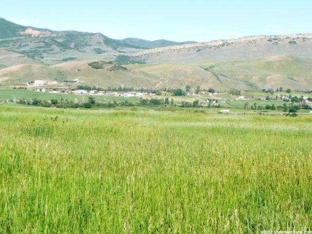 Spring, Coalville, UT 84017 — photo 5