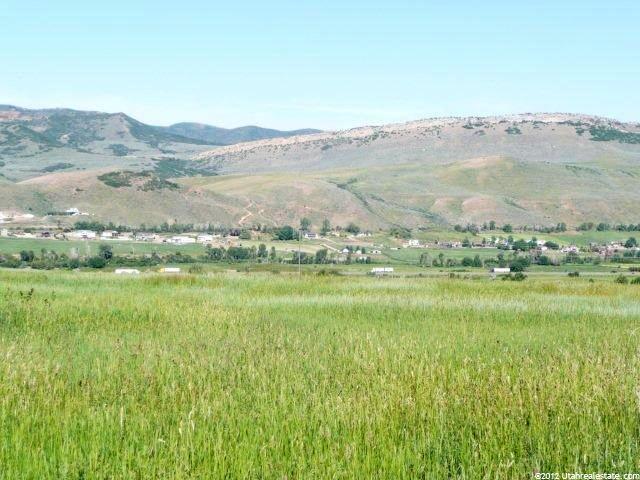 Spring, Coalville, UT 84017 — photo 6