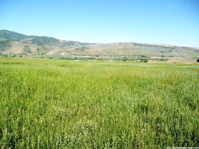 Spring, Coalville, UT 84017 — photo 7
