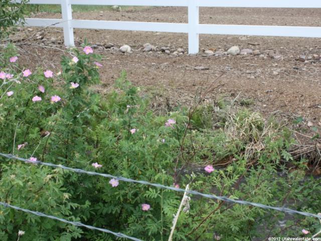 320 W Willow Ct #320, Francis, UT 84036 — photo 6