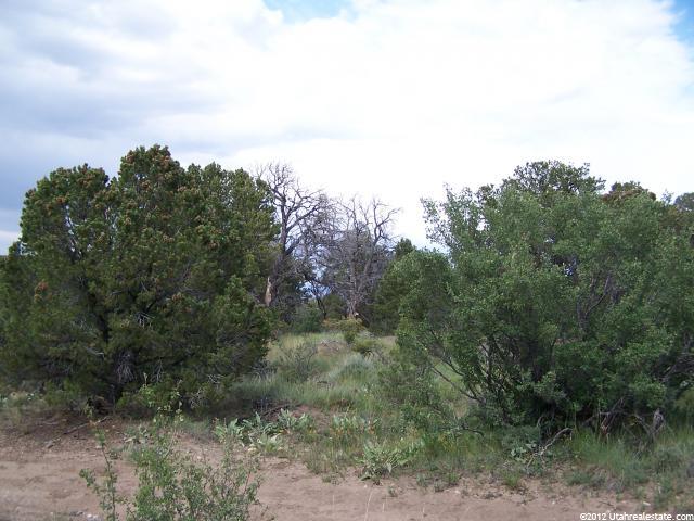 #6, Fruitland, UT 84027 — photo 3