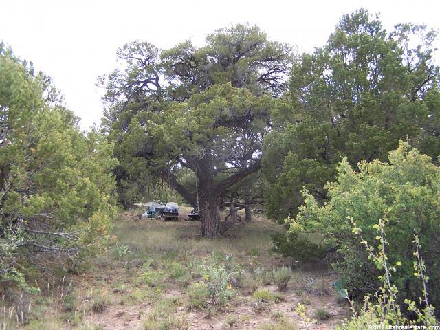 #6, Fruitland, UT 84027 — photo 4