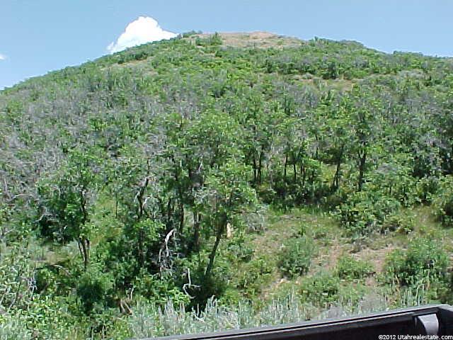 171 W West Rd, Echo, UT 84024 — photo 3