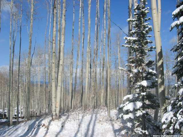 175 White Pine Canyon Rd, Park City, UT 84098 — photo 4