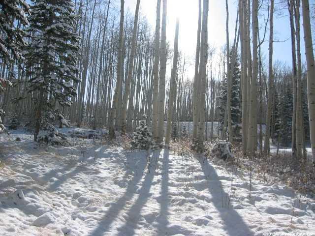 175 White Pine Canyon Rd, Park City, UT 84098 — photo 5