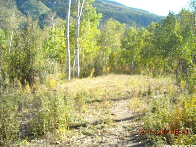86 Geranimo Trl #86, Oakley, UT 84055 — photo 5