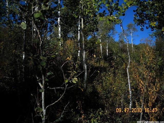 86 Geranimo Trl #86, Oakley, UT 84055 — photo 7