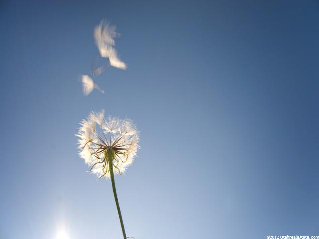 #28, Hideout, UT 84036 — photo 12