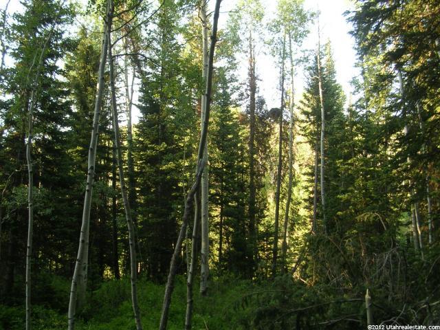 11031 E Tanglewood Dr #662, Heber City, UT 84032 — photo 3