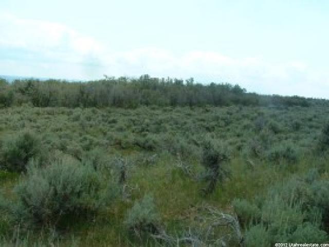 32000 N 5200 E #71, Fairview, UT 84629 — photo 2