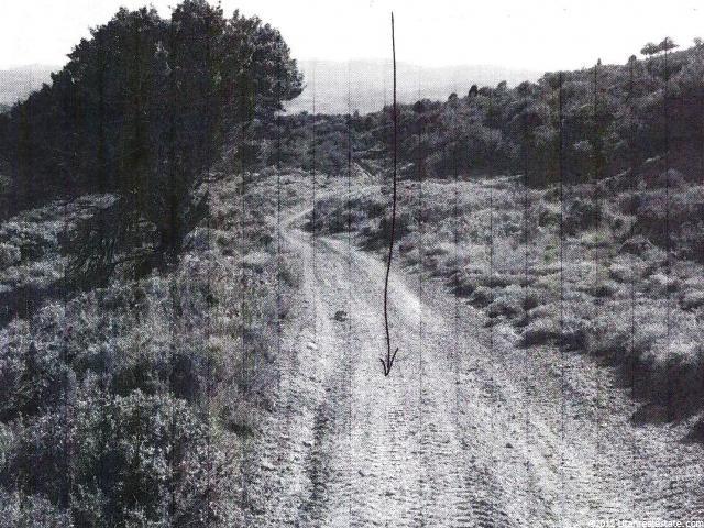 Hyrum, UT 84319 — photo 2