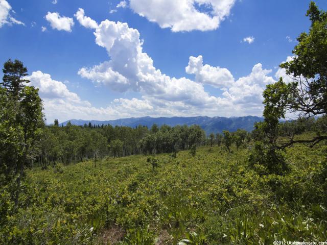 77 N Stagecoach Estates #77, Park City, UT 84098 — photo 12