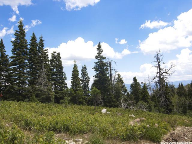 77 N Stagecoach Estates #77, Park City, UT 84098 — photo 4