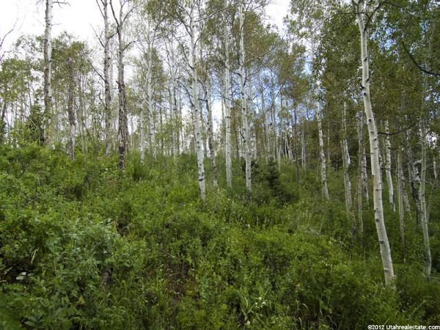 77 N Stagecoach Estates #77, Park City, UT 84098 — photo 7