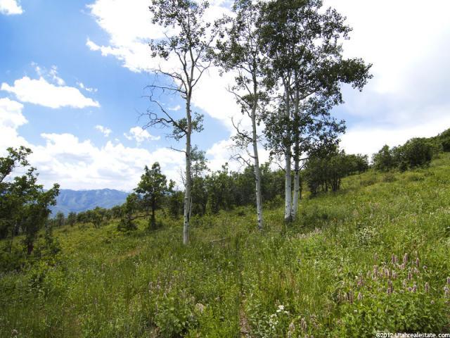 77 N Stagecoach Estates #77, Park City, UT 84098 — photo 9