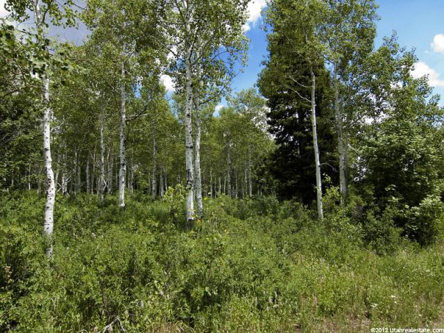 77 N Stagecoach Estates #77, Park City, UT 84098 — photo 10