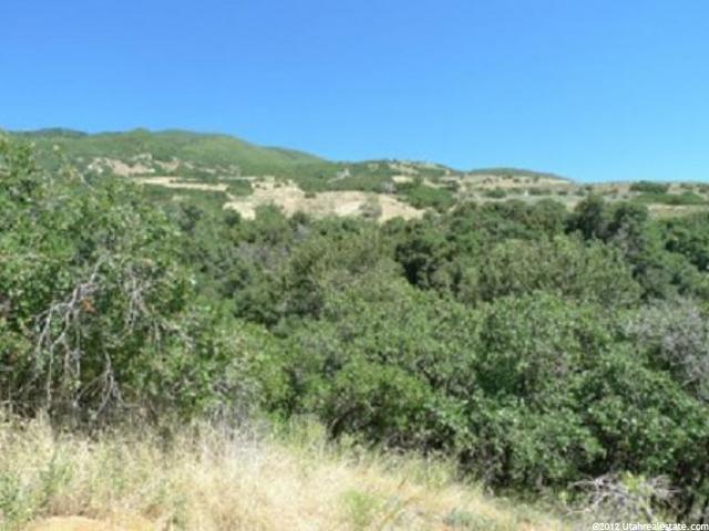 408 E Greystone Dr S, Farmington, UT 84025 — photo 12