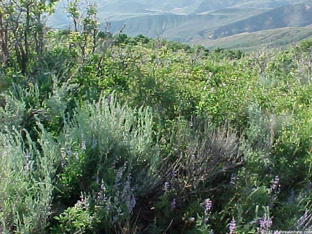 52 S Grass Creek Rd #52, Echo, UT 84024 — photo 2