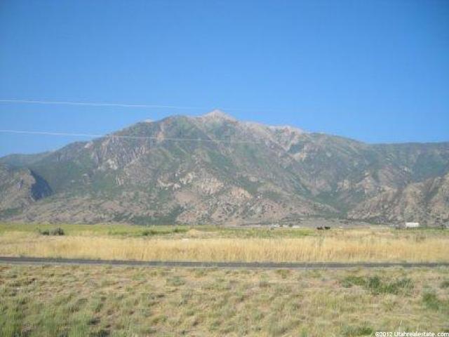 1284 S Old Hwy W, Mona, UT 84645 — photo 4