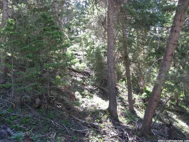 72 Acres #72, Mt Pleasant, UT 84647 — photo 2