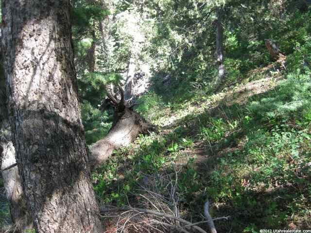 72 Acres #72, Mt Pleasant, UT 84647 — photo 3