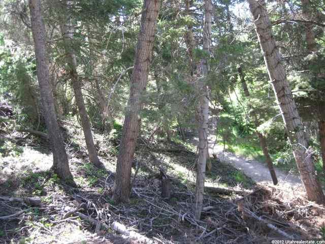 72 Acres #72, Mt Pleasant, UT 84647 — photo 4