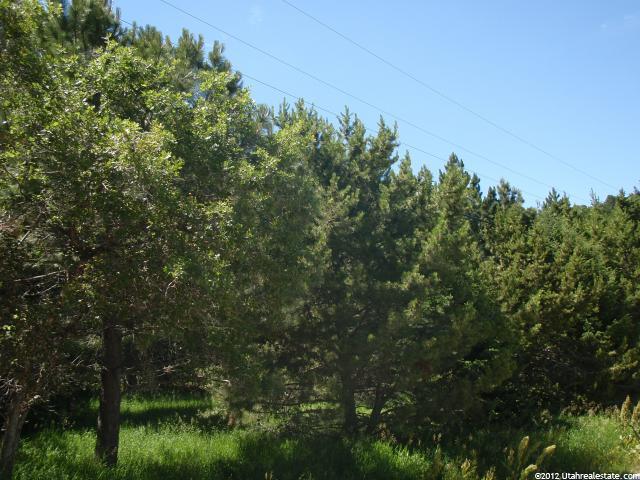 111 Viking Dr #111, Eden, UT 84310 — photo 2