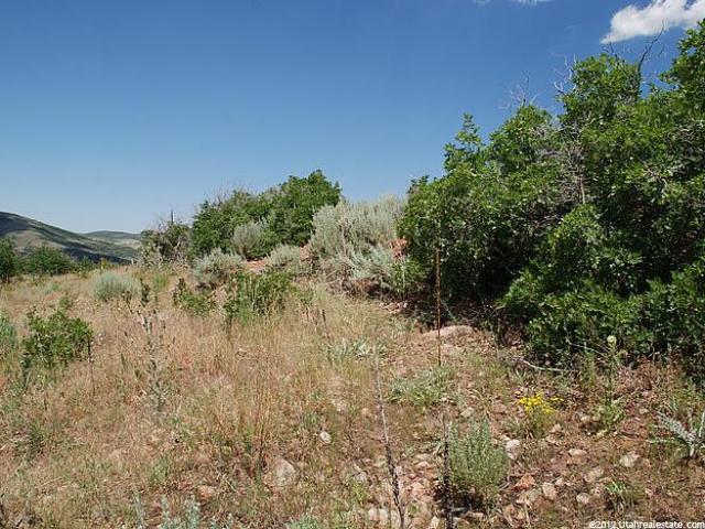 11088 N Lariat Ct #53, Hideout, UT 84036 — photo 10
