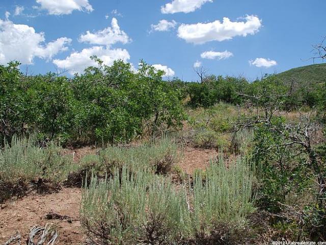 11095 N Lariat Rd #59, Hideout, UT 84036 — photo 2