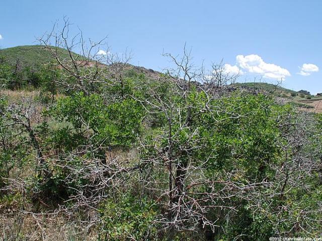11095 N Lariat Rd #59, Hideout, UT 84036 — photo 11