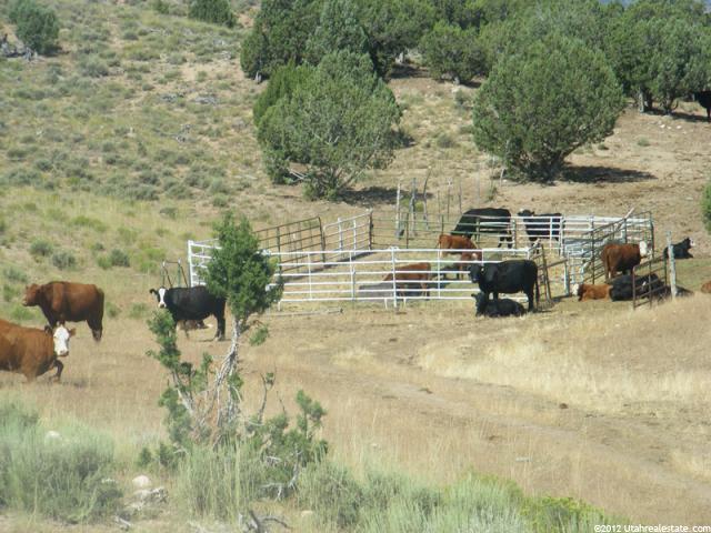 800 W Mills, Nephi, UT 84648 — photo 3
