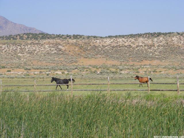 800 W Mills, Nephi, UT 84648 — photo 4