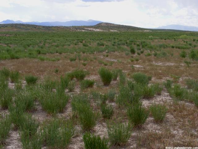 800 W Mills, Nephi, UT 84648 — photo 7