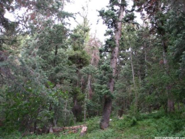35 Acres #35, Mt Pleasant, UT 84647 — photo 5