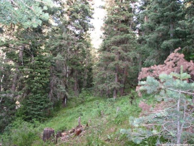35 Acres #35, Mt Pleasant, UT 84647 — photo 6