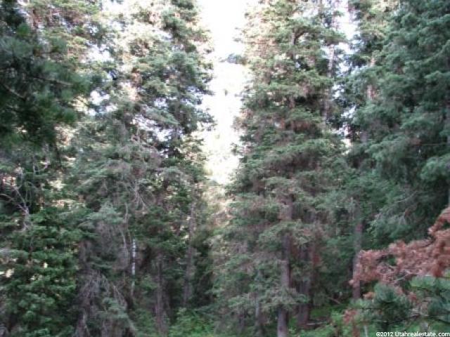 35 Acres #35, Mt Pleasant, UT 84647 — photo 7