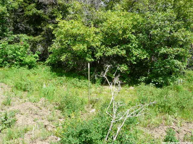 14660 N 14880 E, Mt Pleasant, UT 84647 — photo 2