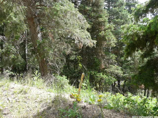 14660 N 14880 E, Mt Pleasant, UT 84647 — photo 3