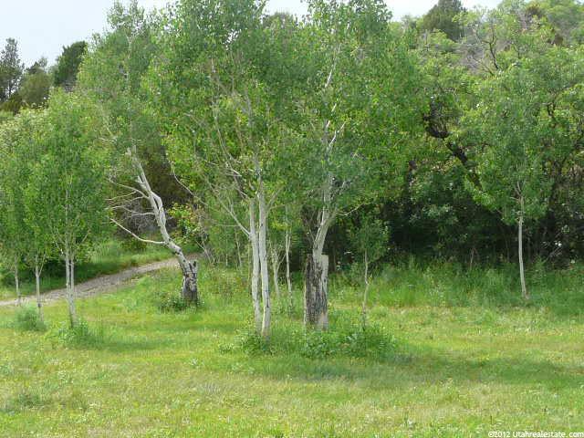 14660 N 14880 E, Mt Pleasant, UT 84647 — photo 7