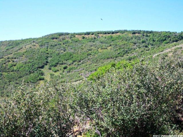 131 Mountain View Dr #131, Wanship, UT 84017 — photo 3