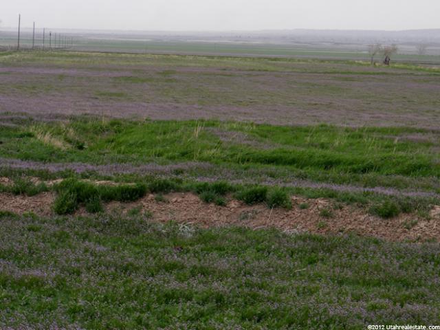 2700 W 3300 N, Flowell, UT 84631 — photo 2
